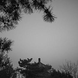 动视暴雪不会主动承认员工工会 就是这么硬气！